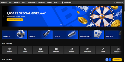 BETANDYOU site preview