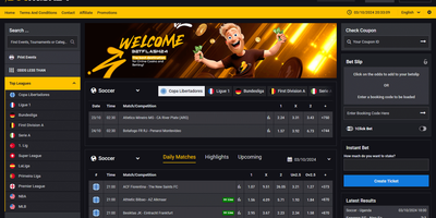 BetFlash24 site preview