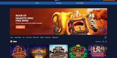 Bison site preview