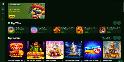CasiNacho site preview
