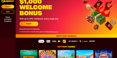 Flamez websted forhåndsvisning