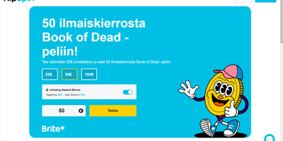 HipSpin websted forhåndsvisning
