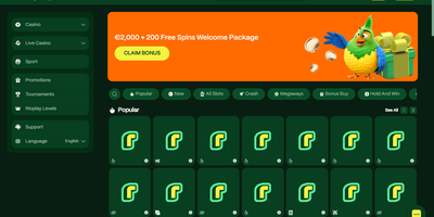 Rioplay site preview