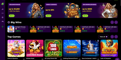 Spinmama site preview