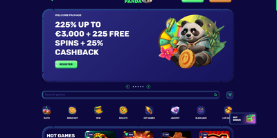 SpinPanda site preview