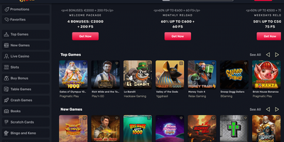 TheSlotz site preview